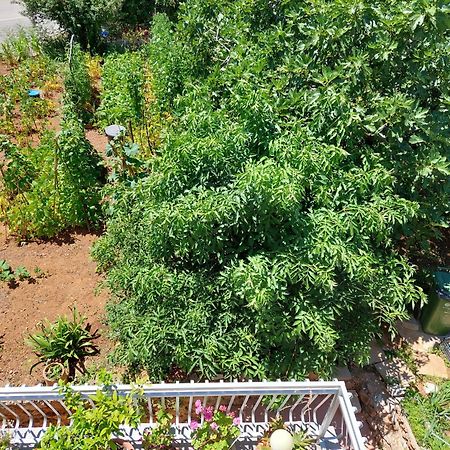Apartmani Toni Βόντιτσε Εξωτερικό φωτογραφία