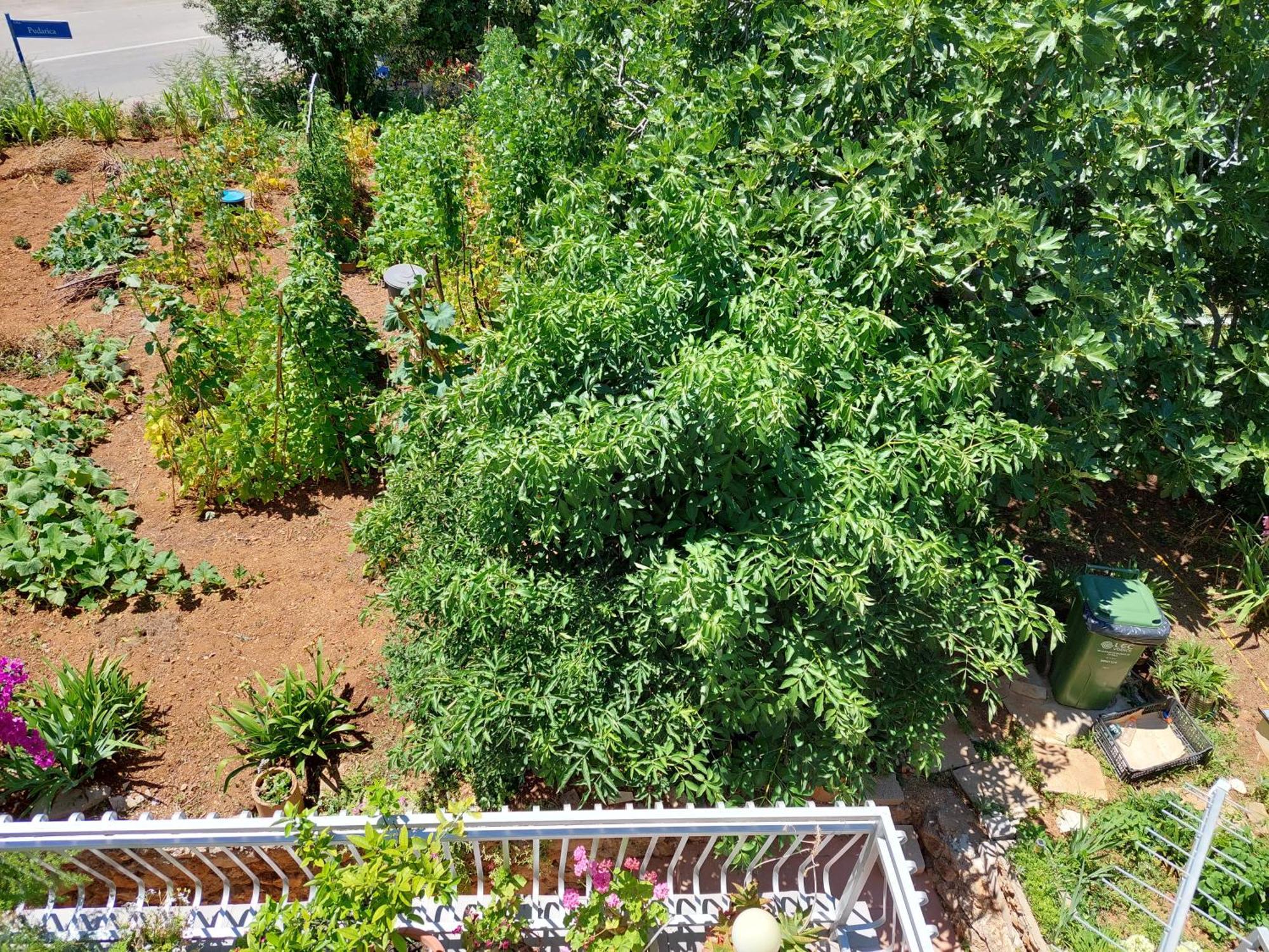 Apartmani Toni Βόντιτσε Εξωτερικό φωτογραφία